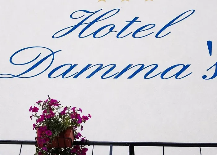 Damma's, Dipendenza Zamagna